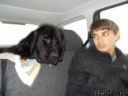 Превью фото № 197466