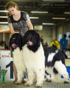 Превью фото № 197475