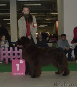 Превью фото № 197478