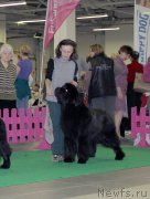 Превью фото № 197491