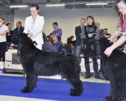 Превью фото № 197494