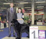 Превью фото № 197499