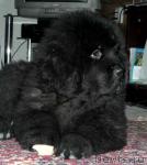 Превью фото № 1975