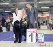 Превью фото № 197500