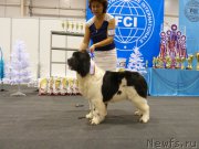 Превью фото № 197556