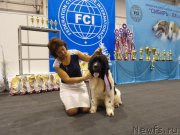 Превью фото № 197558