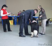 Превью фото № 197656