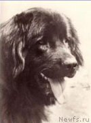 Превью фото № 197670