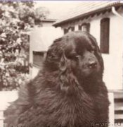 Превью фото № 197671