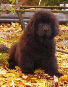 Превью фото № 197681