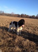 Превью фото № 197708