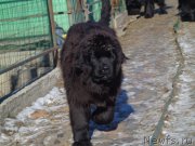 Превью фото № 197712