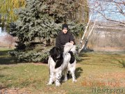 Превью фото № 197787