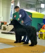 Превью фото № 197843