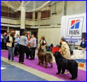 Превью фото № 197855