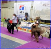 Превью фото № 197858