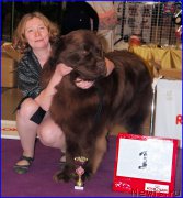 Превью фото № 197862