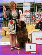 Превью фото № 197869