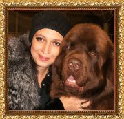 Превью фото № 197873