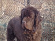 Превью фото № 197917