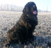 Превью фото № 197923