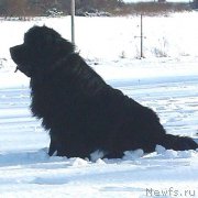 Превью фото № 197925