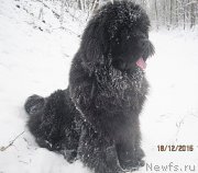 Превью фото № 197934