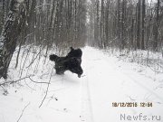 Превью фото № 197936