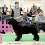 Превью фото № 197958