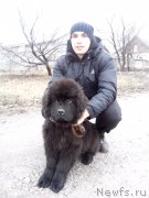 Превью фото № 198010