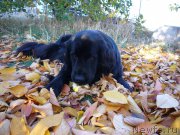 Превью фото № 198057