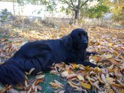 Превью фото № 198058