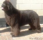 Превью фото № 19806