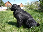 Превью фото № 198071