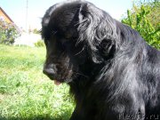 Превью фото № 198072