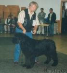 Превью фото № 19811