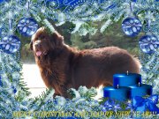 Превью фото № 198147