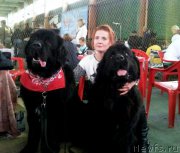 Превью фото № 198149