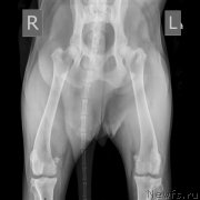 Превью фото № 198173