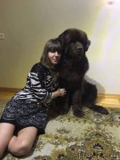 Превью фото № 198179