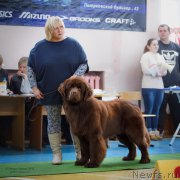 Превью фото № 198184