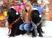 Превью фото № 198187