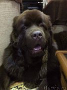 Превью фото № 198284