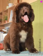 Превью фото № 198319