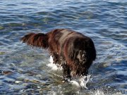 Превью фото № 198400