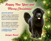 Превью фото № 198404