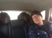 Превью фото № 198406