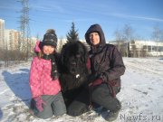 Превью фото № 198461