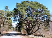 Превью фото № 198463