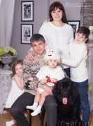 Превью фото № 198477